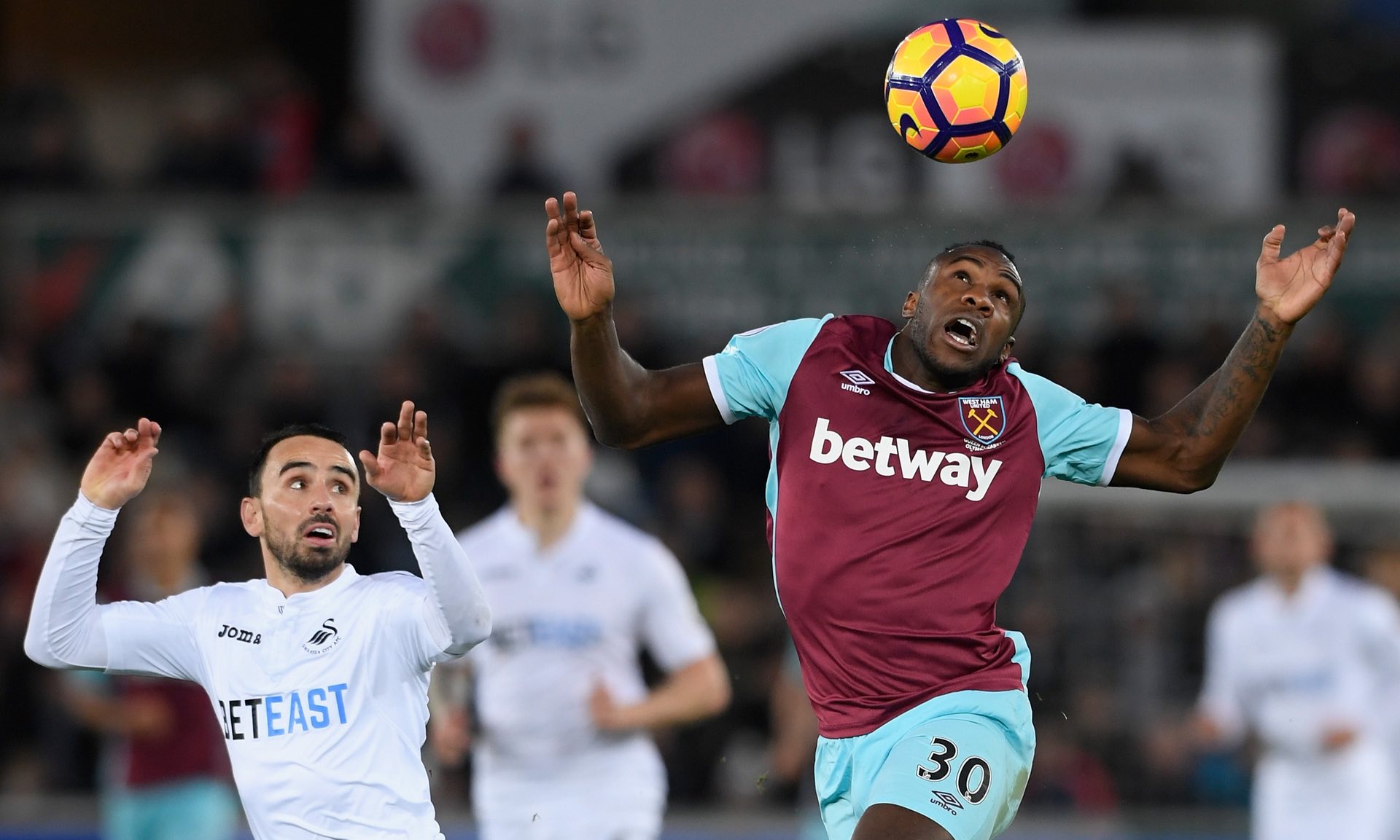 新星培養的 新星培養的